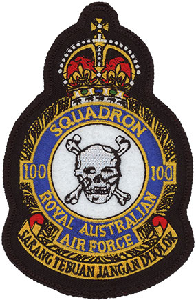 c133
